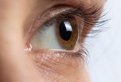 Close-up_of_human_brown_eye_with_clear_cornea_and_lashes