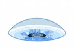 ICL Visian